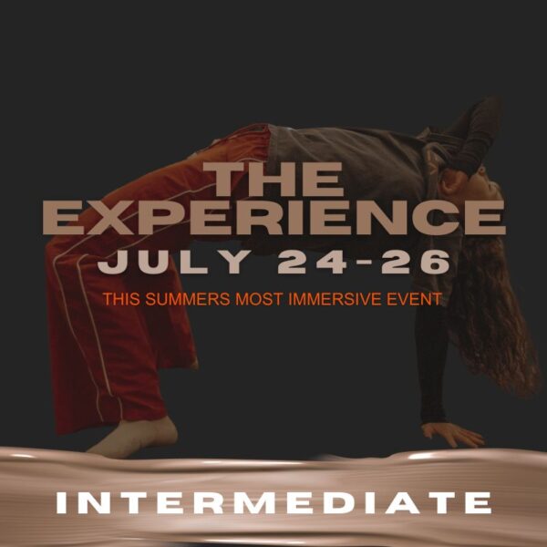 THE EXPERIENCE - Intermediate