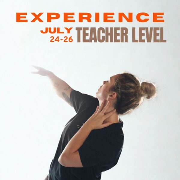 THE EXPERIENCE - TEACHER