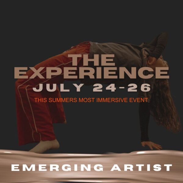 THE EXPERIENCE - EMERGING ARTIST