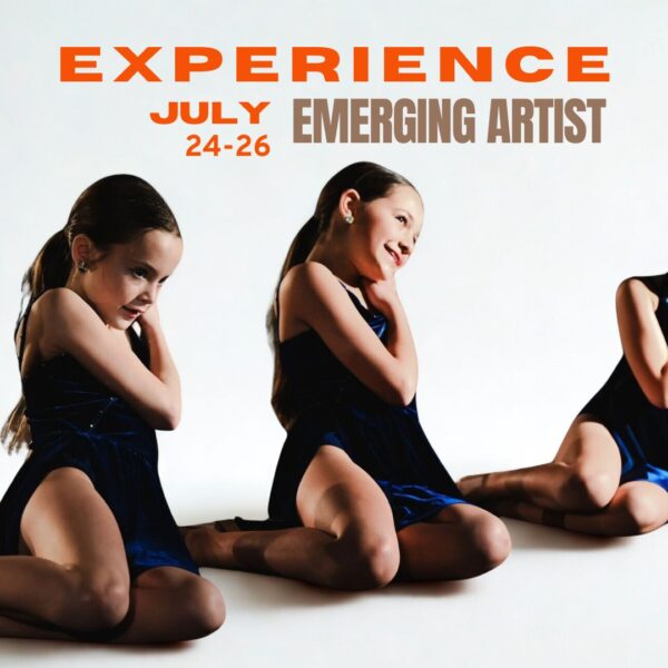 THE EXPERIENCE - EMERGING ARTIST