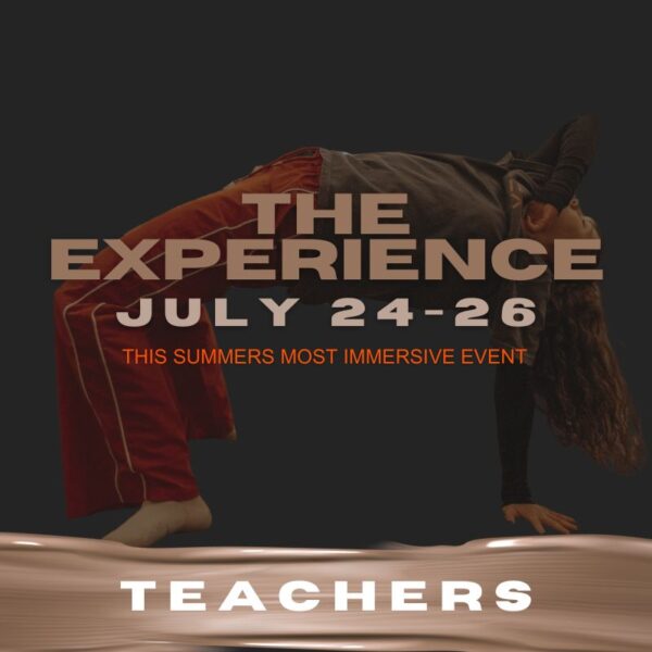 THE EXPERIENCE - TEACHER
