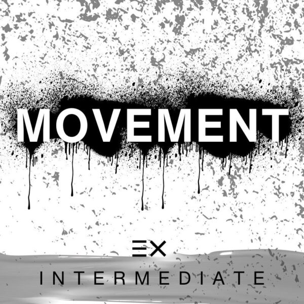 THE MOVEMENT EXPERIENCE - Intermediate