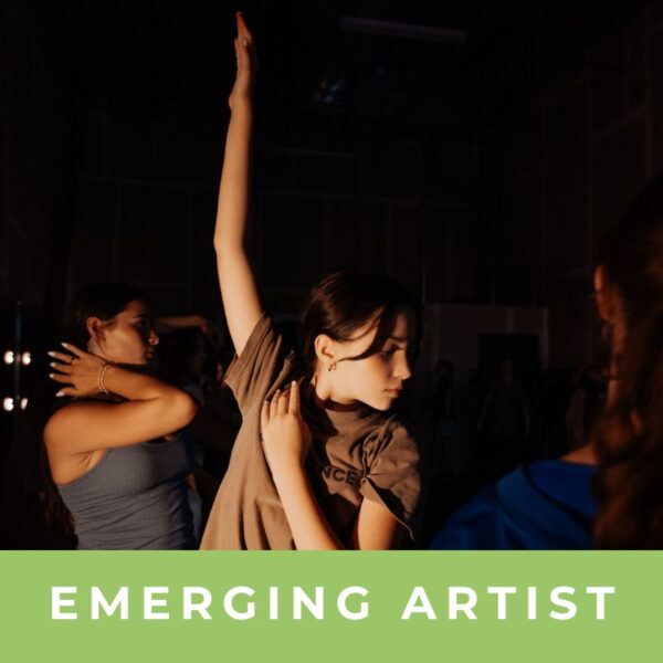 THE EXPERIENCE - EMERGING ARTIST