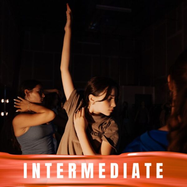 THE EXPERIENCE - Intermediate