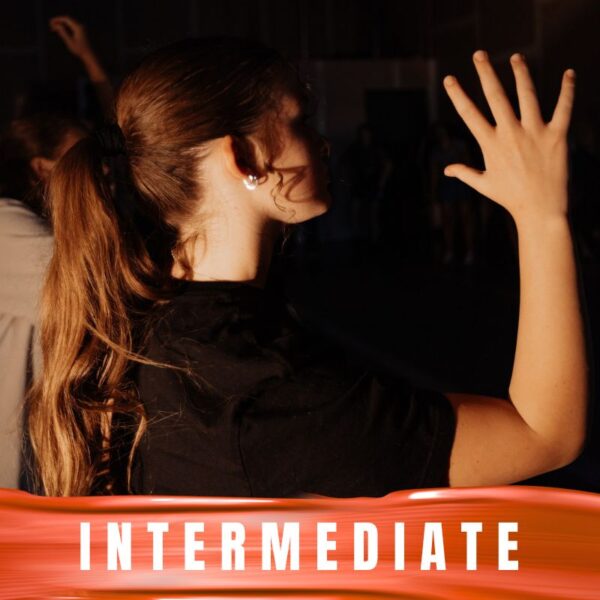 THE FUSION EXPERIENCE - Intermediate